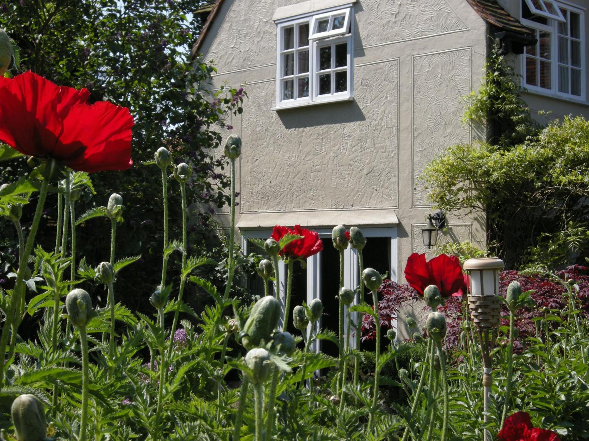 Motts Bed&Breakfast Great Dunmow Exteriör bild
