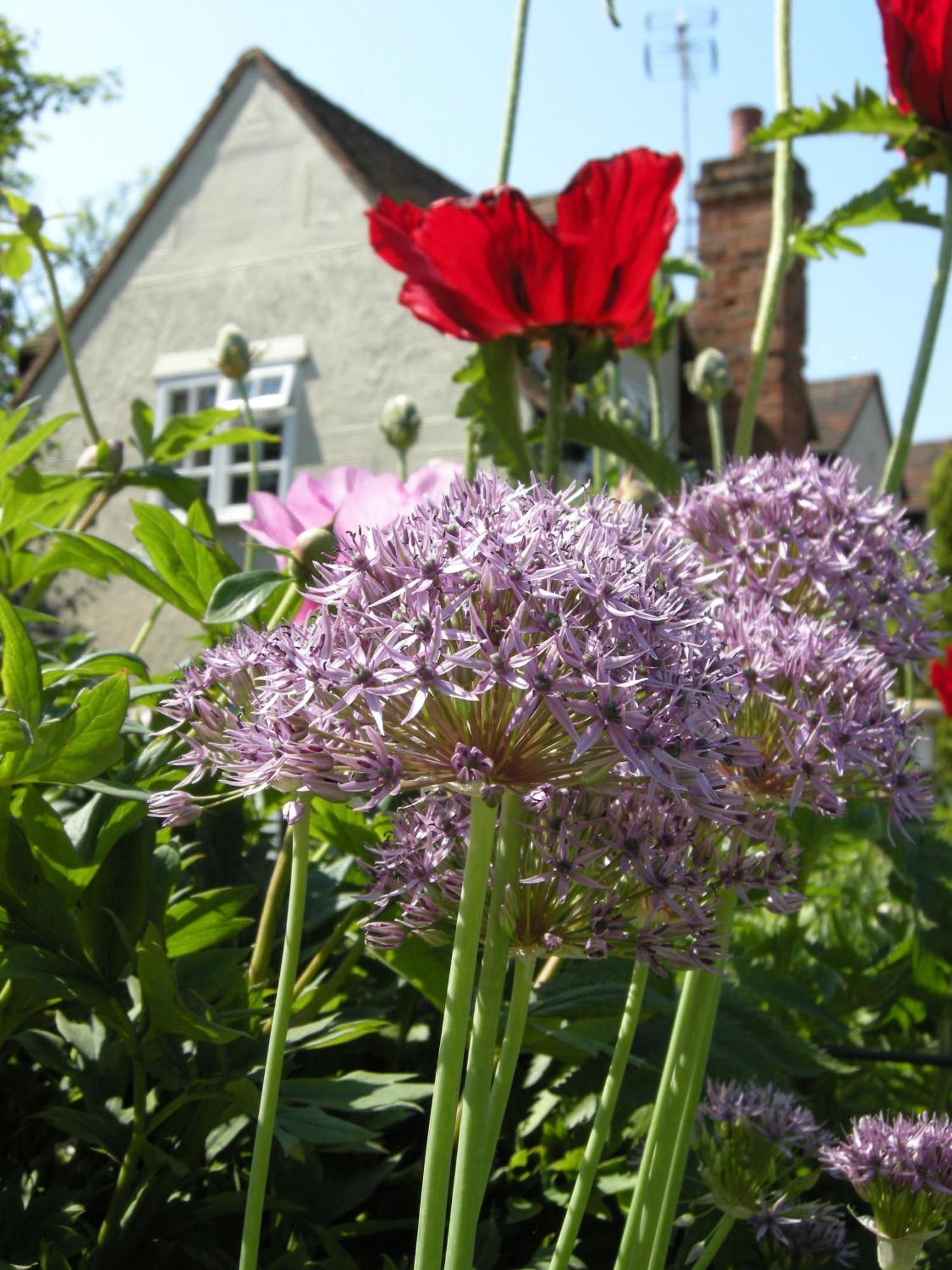Motts Bed&Breakfast Great Dunmow Exteriör bild