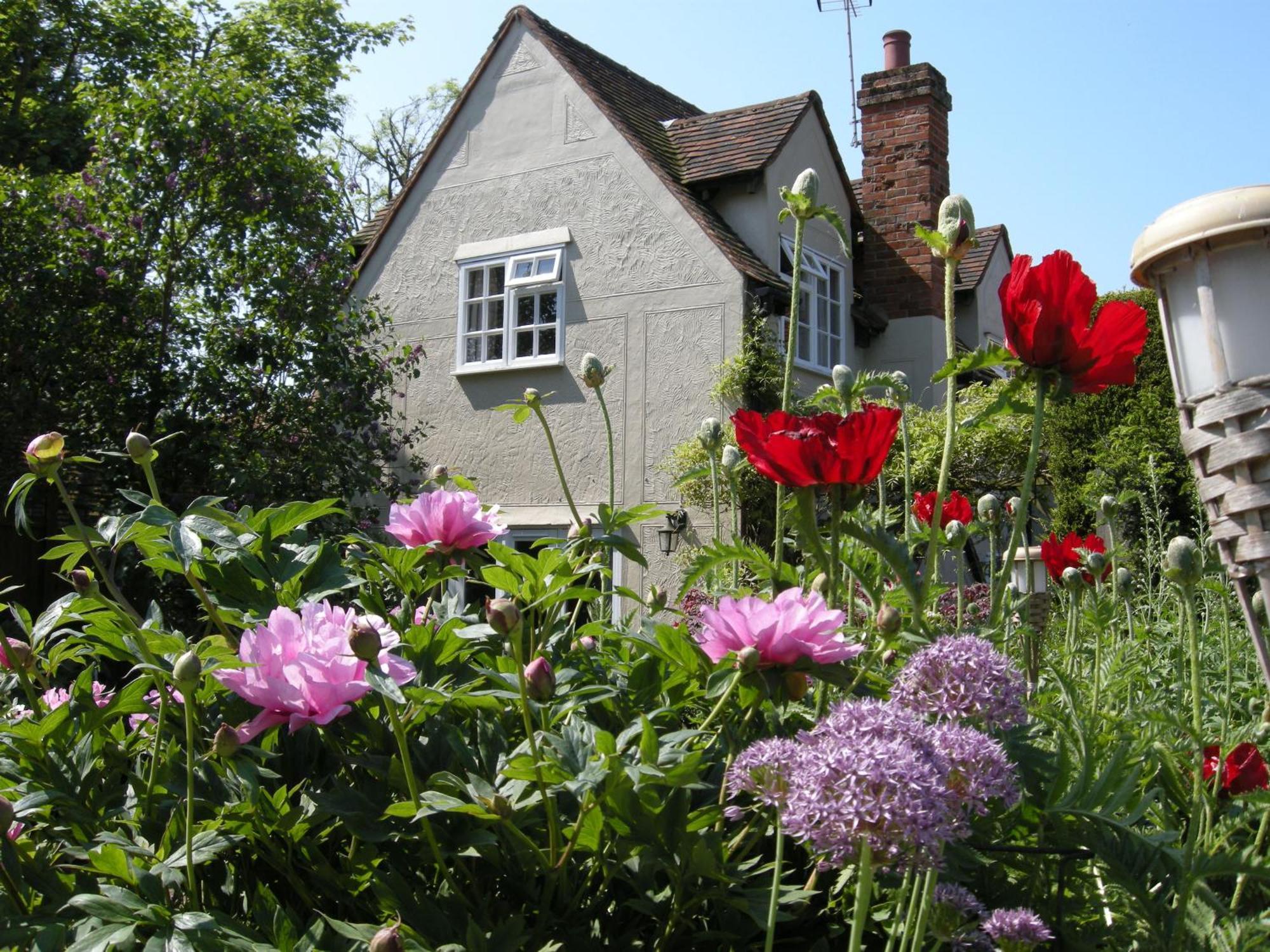 Motts Bed&Breakfast Great Dunmow Exteriör bild
